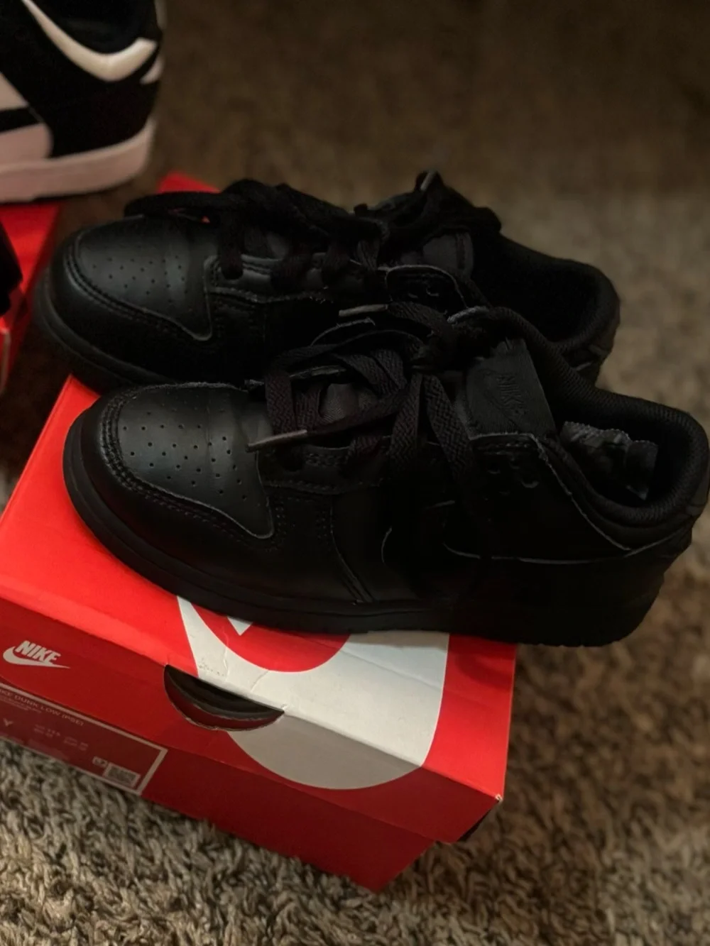 Nike Dunks PS